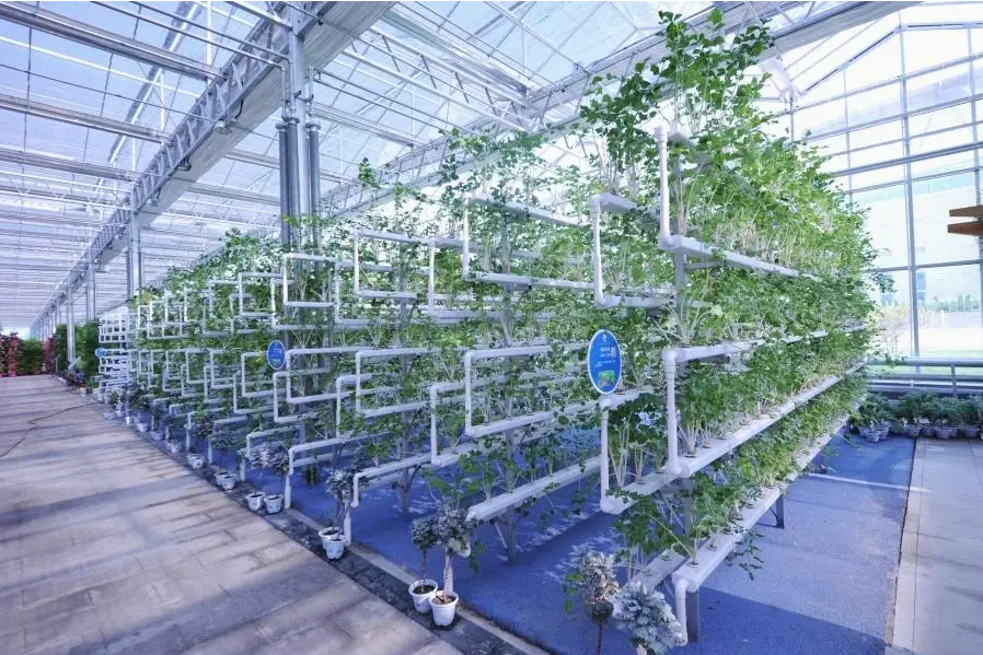 農業領域溫室大棚鍍鋅方管應用解決方案